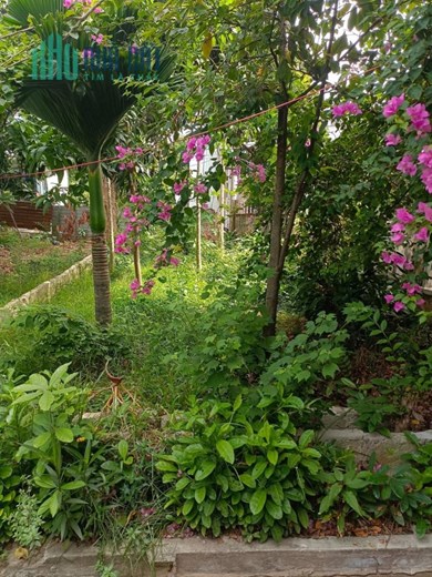 🔴💥Bán lô đất kiệt Tô Hiệu thông qua Bàu Năng 11