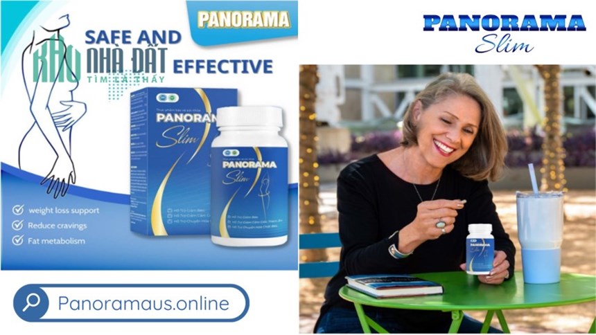 Panorama Slim và các thành phần chính