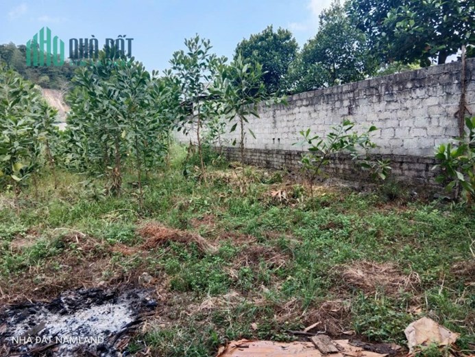 CHÍNH CHỦ CẦN BÁN NHANH Căn Nhà Vị Trí Đẹp Tại TT Giang Tiên Phú Lương, Thái Nguyên