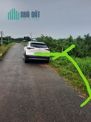 CHÍNH CHỦ CẦN BÁN ĐẤT ẤP THẠNH TRUNG ,XÃTHẠNH TÂN TP TÂY 

 TỈNH TÂY NINH