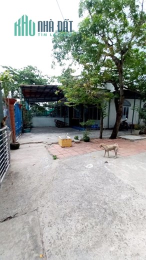Tổng giảm 5 tỷ-Chỉ còn 14 tỷ cho 445m2 đất full thổ cư- Xe tải tới nhà- Ngang khủng 16m-chỉ 24tr/m2