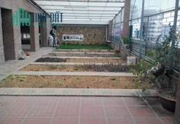 Cho thuê nhà 6 phòng ngủ khép kín, có cầu thang máy, có bể bơi bốn mùa, có gara để được 3 ô tô,