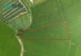 Chính Chủ Bán 6.300m2 Đất Sổ Riêng Trung Tâm Chợ Mới An Giang