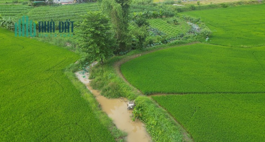 Chính Chủ Bán 6.300m2 Đất Sổ Riêng Trung Tâm Chợ Mới An Giang