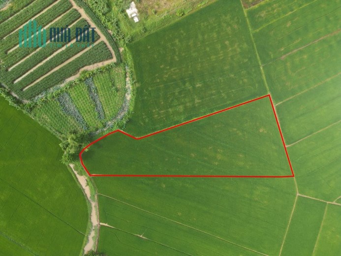 Chính Chủ Bán 6.300m2 Đất Sổ Riêng Trung Tâm Chợ Mới An Giang
