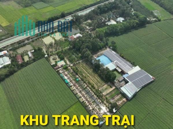 Bán Gấp Trang Trại 14000m2 Kênh Đông Trung Lập Hạ Củ Chi TPHCM
