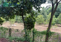 bán gấp lô đất 1000m2 trên hình sổ riêng thổ cư giá 290 triệu