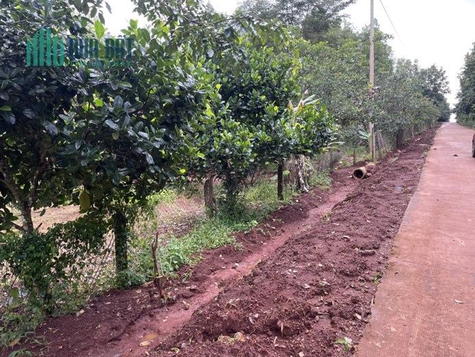 bán gấp lô đất 1000m2 trên hình sổ riêng thổ cư giá 290 triệu