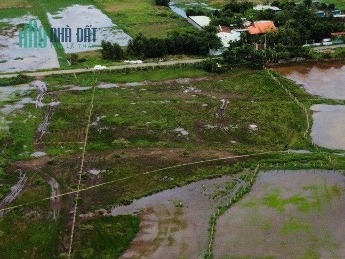 Bán đất Dương Công Khi XÃ Xuân Thới Sơn H.Môn, 7908m2, đường nhựa 8m, giá chỉ 47 tỷ
