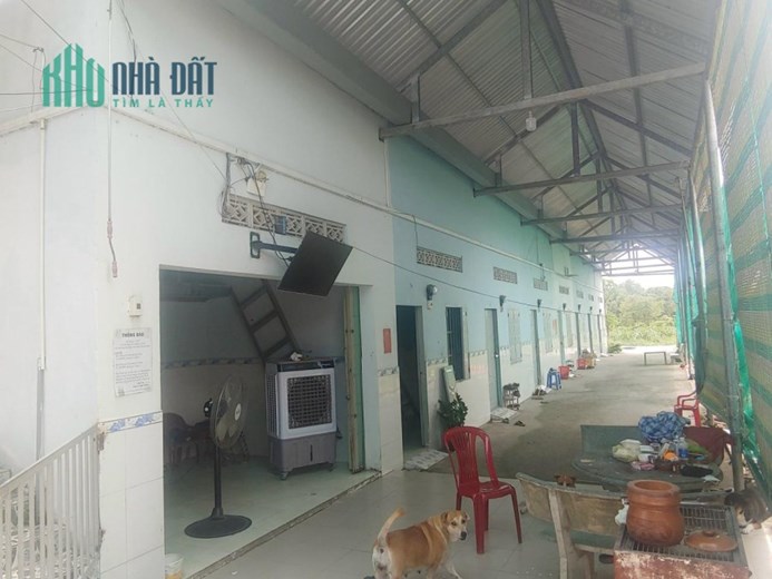 Bán đất Nguyễn Kim Cương PHƯỜNG Tân Thạnh Tây Hóc Môn, đất MT, 3985m2, ĐƯỜNG 10m, giá giảm còn 18.5