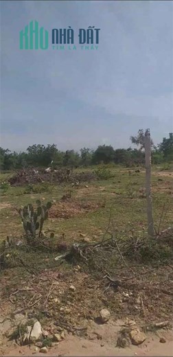 ĐẤT ĐẸP – GIÁ TỐT- CẦN BÁN LÔ ĐẤT Vị Trí Đẹp Tại Xã Phước Thái, Huyện Ninh Phước, Ninh Thuận