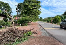 Bán gấp miếng vườn 1000m2 có 100 thổ cư