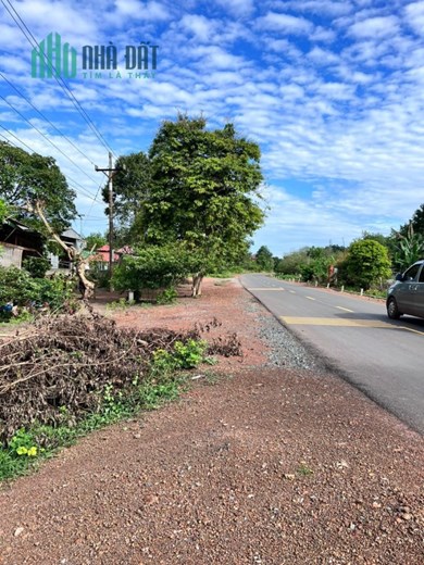 Bán gấp miếng vườn 1000m2 có 100 thổ cư