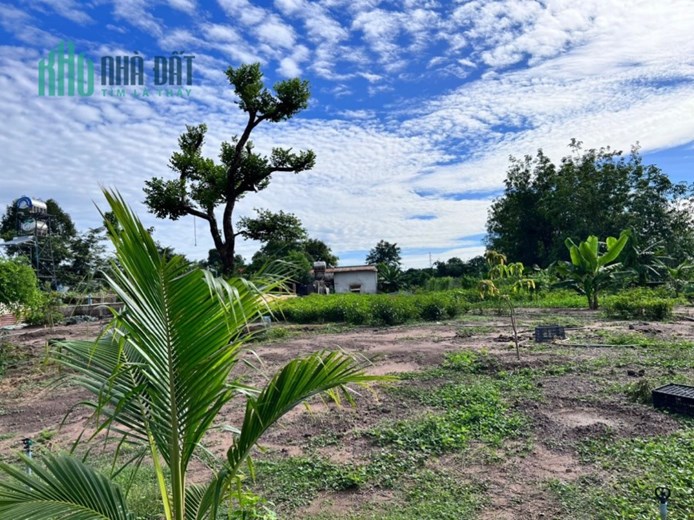 Bán gấp miếng vườn 1000m2 có 100 thổ cư