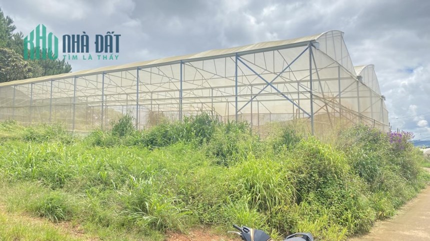 1 sào đất hiệp thạnh phi nôm đức trọng, gần nhà thờ bắc hội chỉ 4,2 tỷ