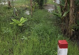 Chính chủ cần bán Lô Đất Thuộc Lộ Mới Bờ Nam Sông Đốc - Rau Dừa - Hưng Mỹ  - Cái Nước -  Cà Mau
