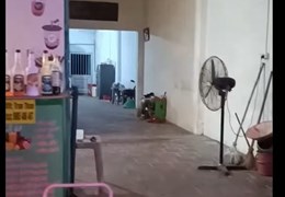 Mình cần nhượng lại quán trà sữa mới mở ở ql2 Sóc Sơn - Hà Nội