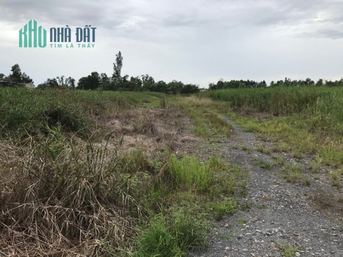 Bán đất An Hạ, xã Phạm Văn Hai, Bình Chánh 50m2, giá TT 450tr