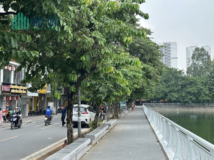Bán nhà mặt phố Hồ Đắc Di, view hồ, 7 tầng thang may, kinh doanh đỉnh, 60 m2, vuông đẹp , 31 tỷ.
