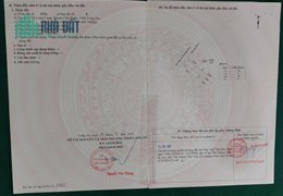 Bán nền A4 02 KDC Long Cang, khu Lotus 5x20, cắt lỗ 400tr mua ban nhanh, lợi nhuận ngay khi mua