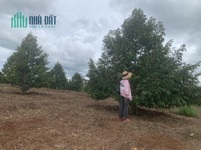 ĐẤT ĐẸP - GIÁ TỐT Cần Bán Nhanh Lô Đất Vị Trí Đẹp Tại Xã Đức Mạnh, Đakmil , Đăk Nông