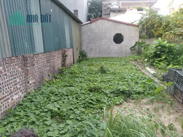 Cần bán  61m ĐẤT,MT 8m Bồ Đề,long Biên giá 4 TỶ ,KD,phù hợp xây 7T thang máy,nhà dòng tiền,chia 2can