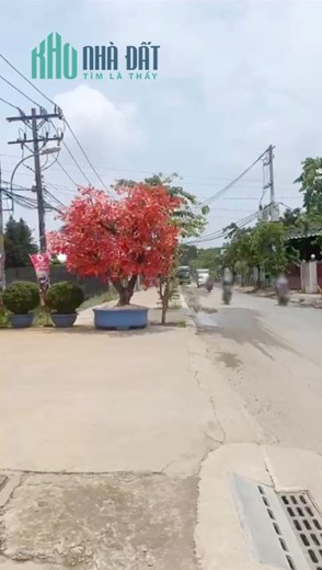 Bán 3.970m2 đất kế bên Rin Rin Park mặt tiền Nguyễn Thị Thử xã Xuân Thới Đông, H.Hóc Môn