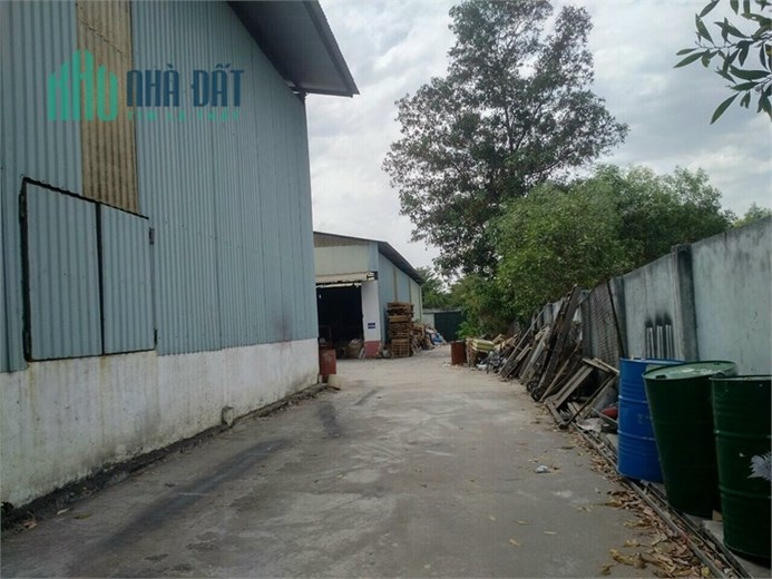 nhà xưởng sản xuất hoặc kho chứa hàng, Sản xuất kinh doanh nhẹ, sẵn sàng cho thuê liền