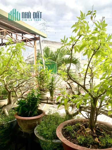 NHÀ BÁN MẶT TIỀN TRUNG TÂM P.1 GÒ VẤP - NGAY PHẠM VĂN ĐỒNG -  - CHƯA QUA ĐẦU TƯ - TIỆN XÂY CHDV CHO