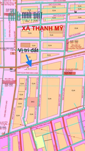 6,5công mặt tiền đường huyện lộ 41,Thạnh Mỹ,Tân Phước,Tiền Giang