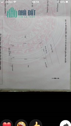 6,5công mặt tiền đường huyện lộ 41,Thạnh Mỹ,Tân Phước,Tiền Giang