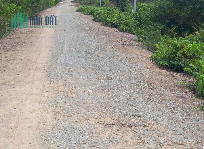 6,5công mặt tiền đường huyện lộ 41,Thạnh Mỹ,Tân Phước,Tiền Giang