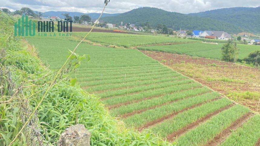 Hơn 1 sào đất mặt tiền cao tốc lương khương Đà Lạt chỉ 2 tỷ