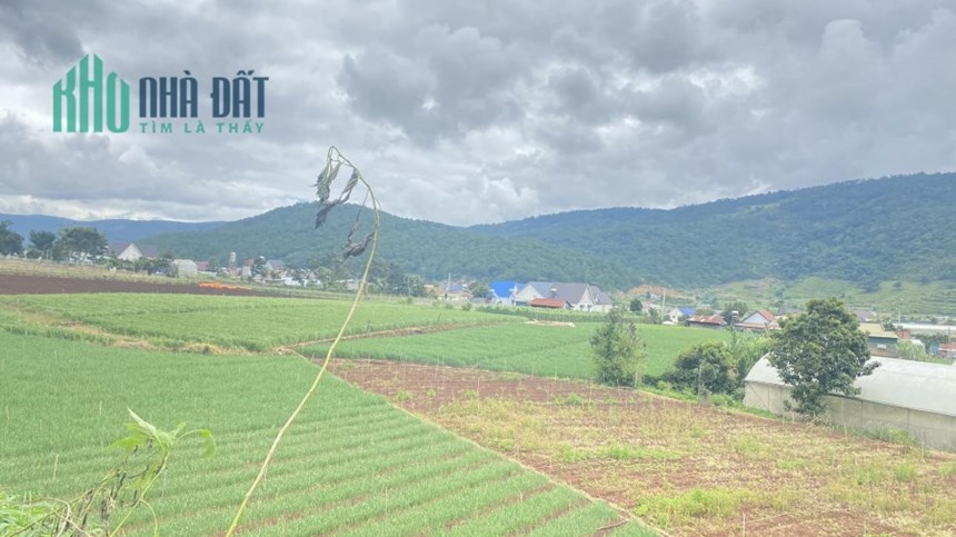 Hơn 1 sào đất mặt tiền cao tốc lương khương Đà Lạt chỉ 2 tỷ