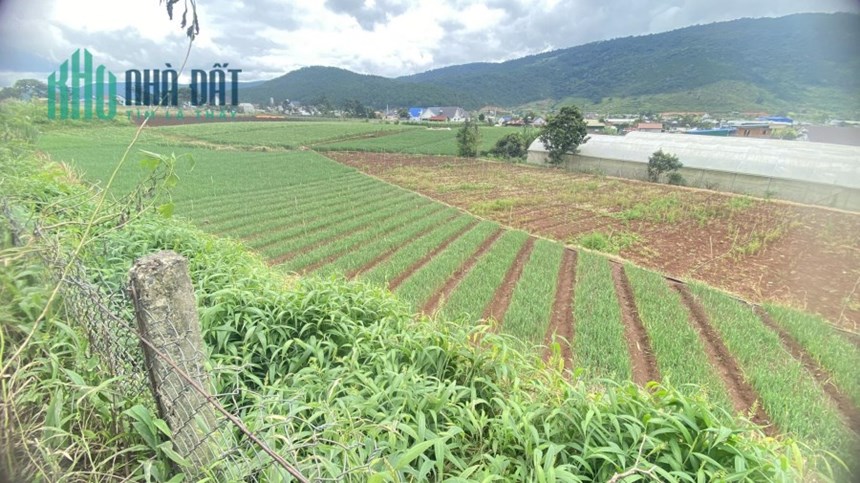 Hơn 1 sào đất mặt tiền cao tốc lương khương Đà Lạt chỉ 2 tỷ
