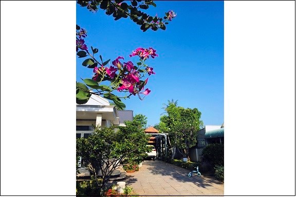 Chính chủ cho thuê biệt thự mái Thái (The Little Pea House) ngay giữa trung tâm TP.Bà Rịa, 19tr/th;
