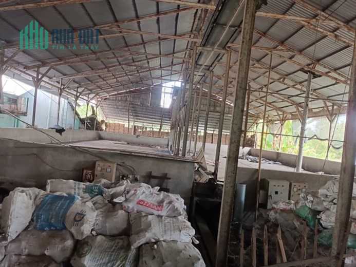 CẦN CHO THUÊ HOẶC CHUYỂN NHƯỢNG  Lò Xấy Lúa Công Suất Lớn 250 Tấn /24h Tại Giồng Riềng