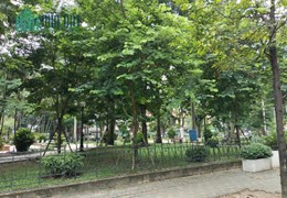 [ CỰC PHẨM] BÁN MP TĂNG BẠT HỔ VIEW VƯỜN HOA DT 230m2, MT 12M, LÔ GÓC, KD.