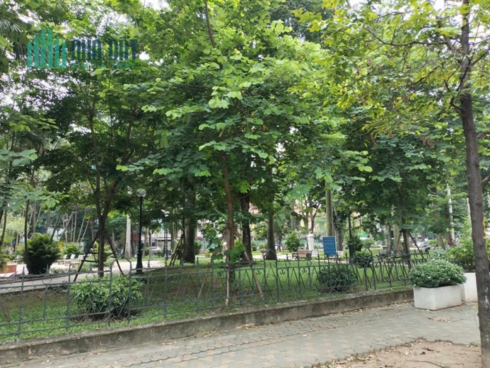 [ CỰC PHẨM] BÁN MP TĂNG BẠT HỔ VIEW VƯỜN HOA DT 230m2, MT 12M, LÔ GÓC, KD.
