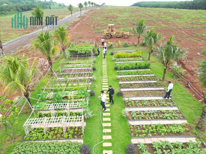 Cơm không ăn gạo vẫn còn đó. Nhưng thấy đất rẻ mà không ngó thì khó lòng ngủ yên.
