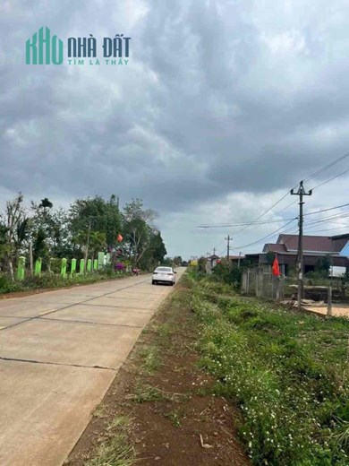 Chính Chủ Cần Bán Đất Tặng Nhà Mới Xây Vị Trí Mặt Tiền Quốc Lộ 29.