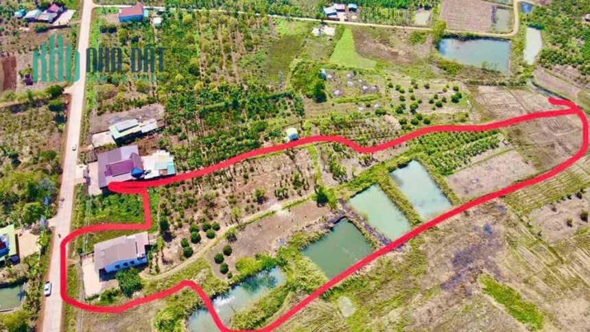 Chính Chủ Cần Bán Đất Tặng Nhà Mới Xây Vị Trí Mặt Tiền Quốc Lộ 29.