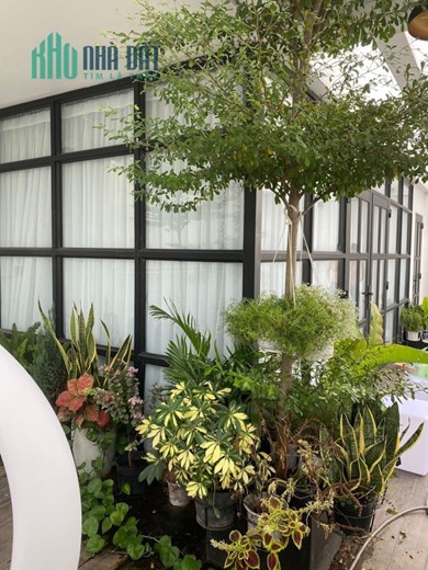 Cần bán lại căn hộ Penthouse Chánh Hưng Giai Việt