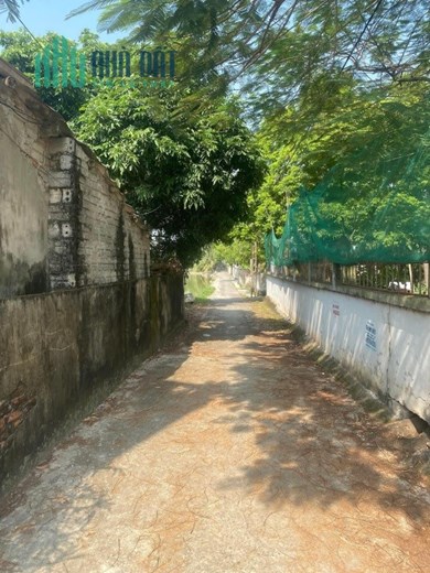 CHÍNH CHỦ CẦN BÁN NHANH LÔ ĐẤT Vị Trí Đẹp Tại Ân Thi - Hưng Yên