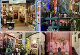 Chính chủ cần cho thuê cửa hàng và văn phòng địa chỉ: Đường Tô Ngọc Vân, Phường Quảng An, Quận Tây