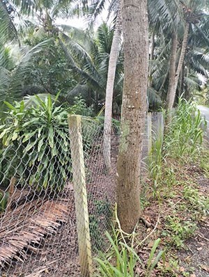 CHÍNH CHỦ CHO THUÊ 2.000M2 ĐẤT NÔNG NGHIỆP