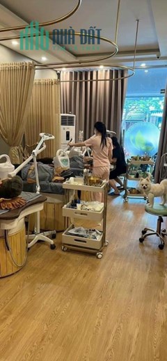 VỪA ĐẸP, VỪA HIẾM, MẶT KINH DOANH TRIỀU KHÚC, SẦM UẤT NGÀY ĐÊM