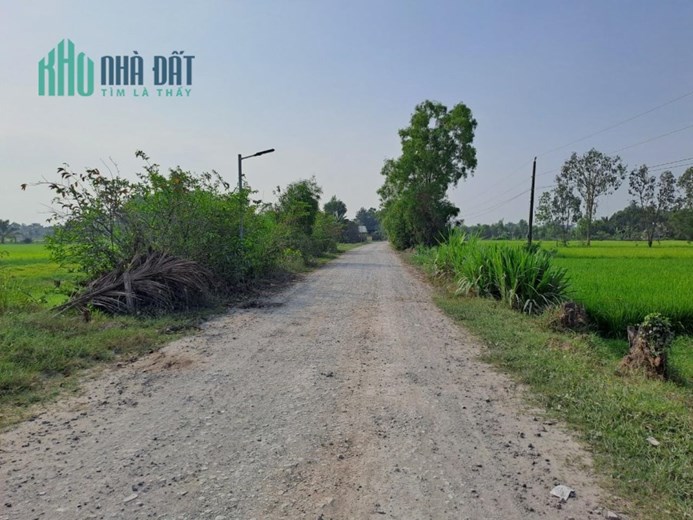 Đất Chính Chủ - Giá Tốt - Bán Gấp Tại Ấp Gò Sao, Xã Tân Phú, Đức Hòa - Long An