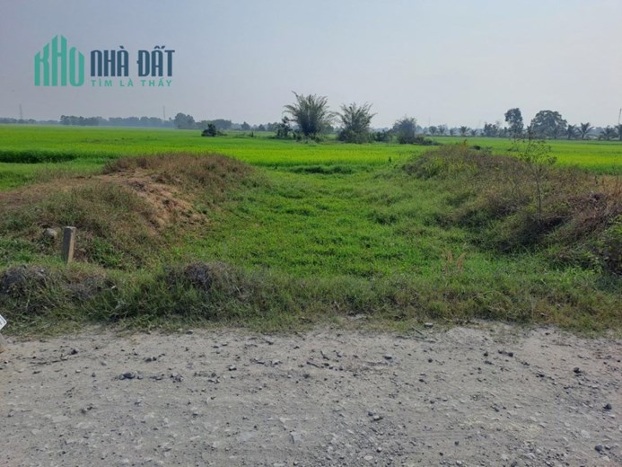 Đất Chính Chủ - Giá Tốt - Bán Gấp Tại Ấp Gò Sao, Xã Tân Phú, Đức Hòa - Long An