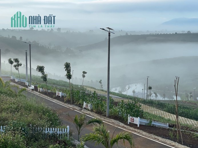 ĐẤT NỀN NGHỈ DƯỠNG VIEW ĐỒI, SĂN MÂY GIÁ CỰC RẺ XÃ LỘC TÂN, BẢO LÂM, LÂM ĐỒNG